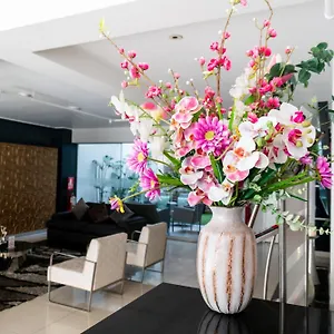 Petit Palace 3*