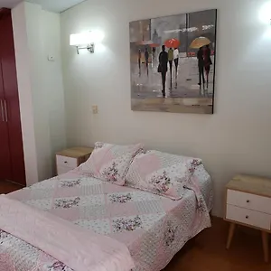 Amplio Y Acogedor Departamento En San Miguel, *