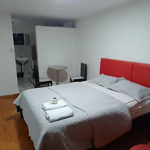 Amazon Star - Wild 2* Lima