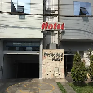 Hotel del amor Princess *