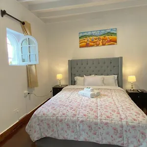 Lion Backpackers Guest house Lima
